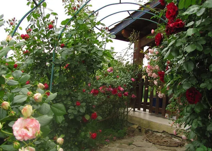 Bed & Breakfast D'hotes Gelous