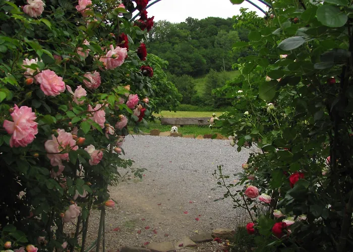 Bed & Breakfast D'hotes Gelous Bidache